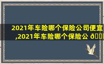 2021年车险哪个保险公司便宜,2021年车险哪个保险公 🐘 司便宜一点